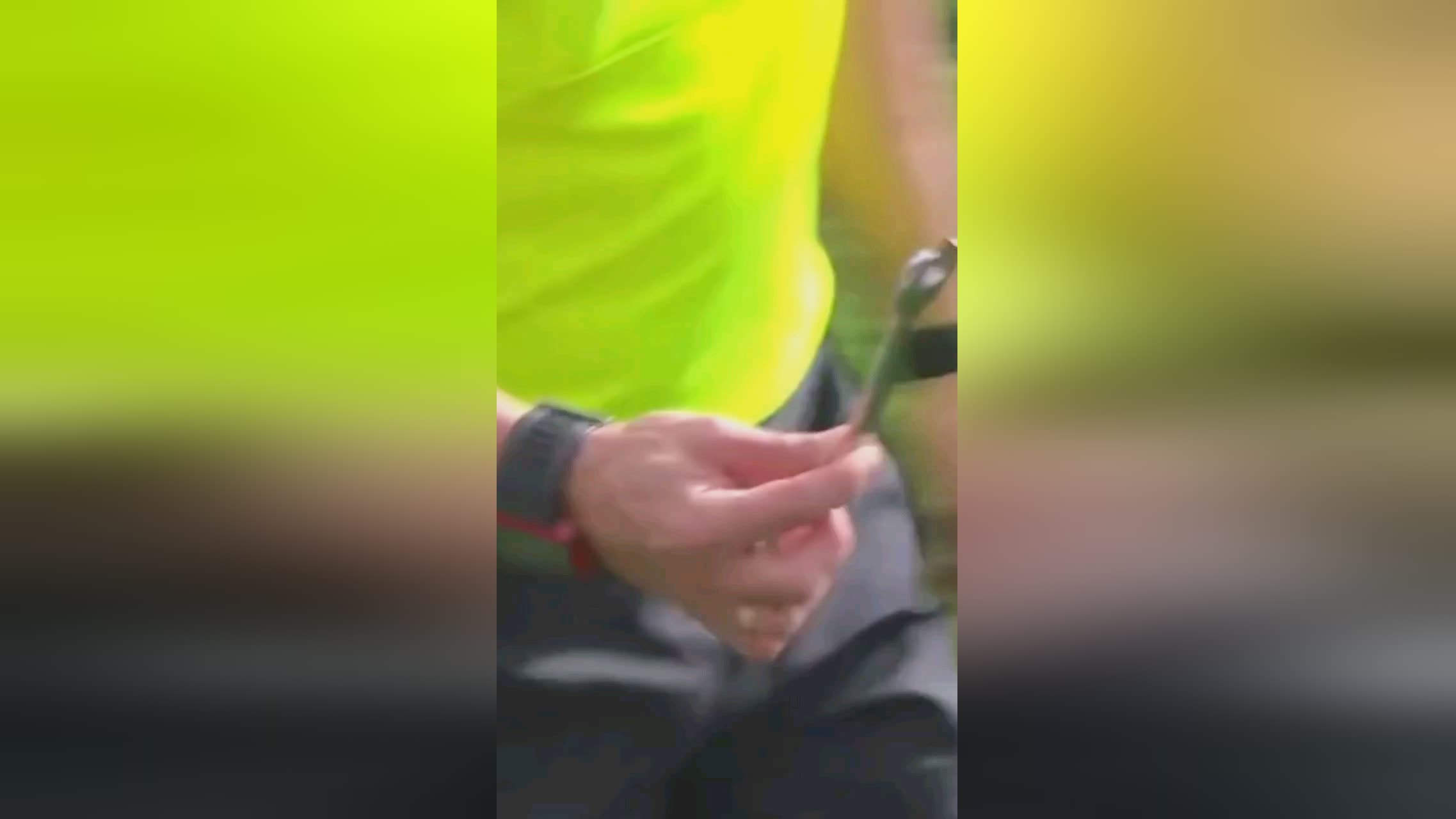 炳添无疑是